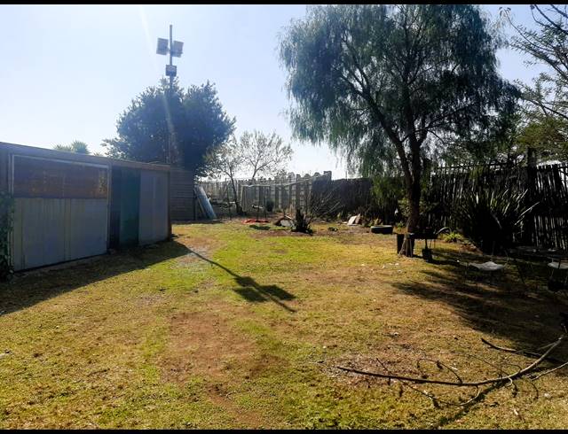 SMALLHOLDING RENTED IN DENNEOORD